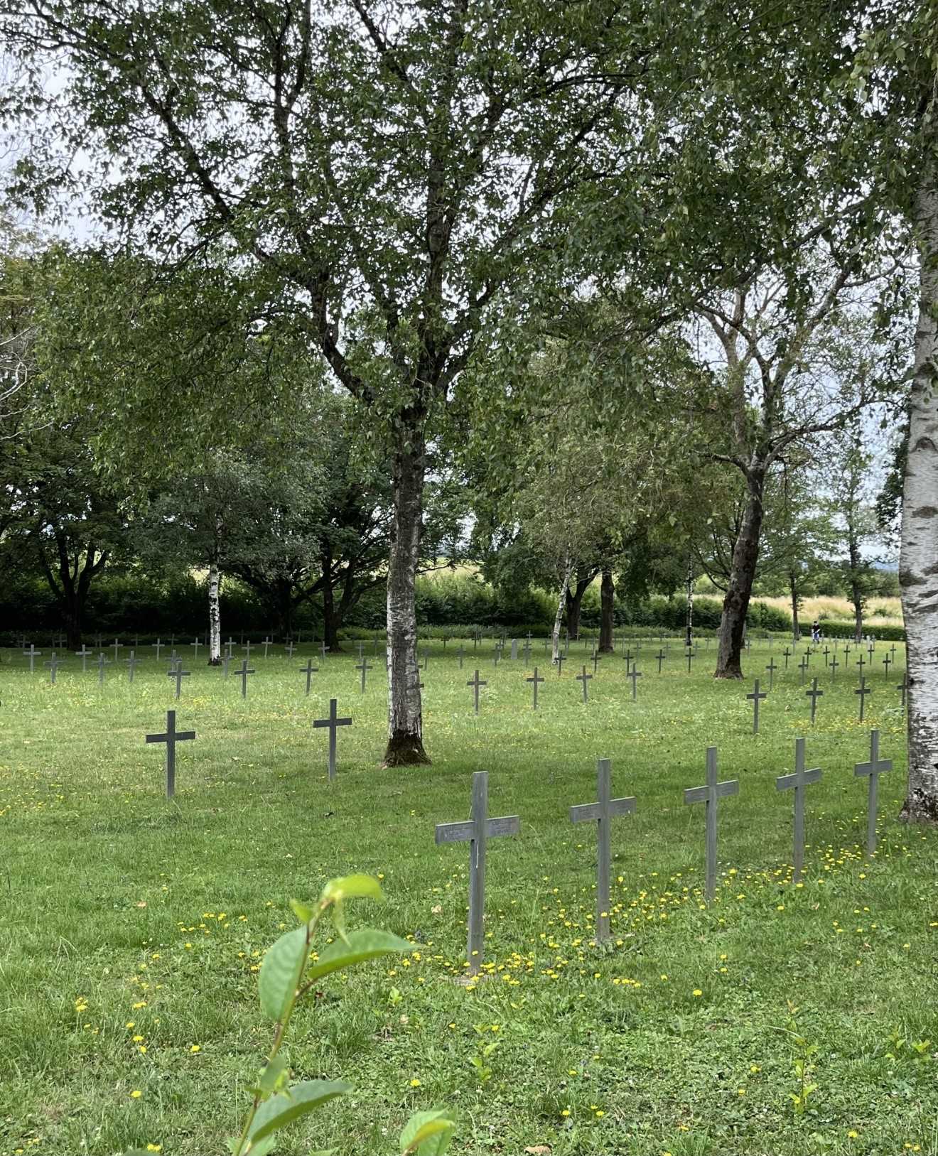 2023 06 28 Friedhof